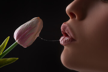 Oral sex concept. Blowjob and kiss. Sexy lips with tulip flower. Sexy female mouth and spring...