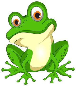 Grüner lachender und sitzender vektor Frosch. Weißer isolierter Hintergrund.