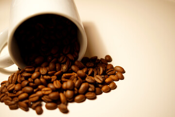 Kaffebohnen mit weißer Tasse.