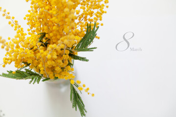 Branch of mimosa on white background. Near inscription 8 March