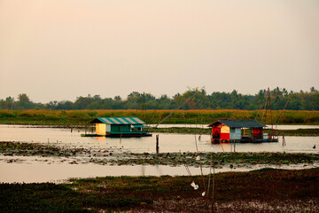 Thailand, Udon Thani, fishing net on the lake at Kumphawapi