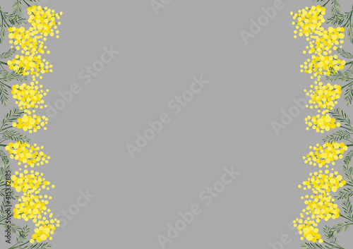 ミモザ アカシア レトロ ヴィンテージ 春のイラスト ドライフラワー 植物柄 Acacia Wall Mural Acac Aoirokaeru