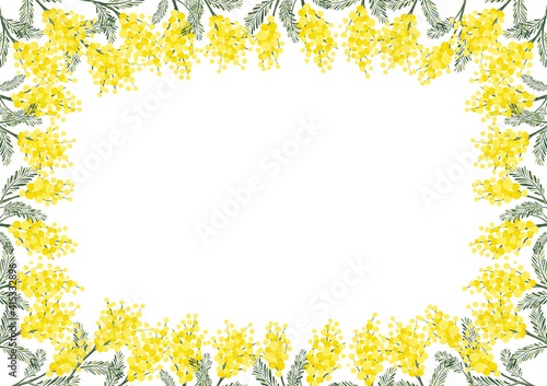 ミモザ アカシア レトロ ヴィンテージ 春のイラスト ドライフラワー 植物柄 Wall Mural Aoirokaeru