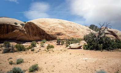 Mesmerizing Canyonlands National Park sandstone pillars and pinnacles in Utah