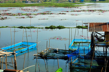 Fototapeta na wymiar Thailand, Udon Thani, fishing net on the lake at Kumphawapi