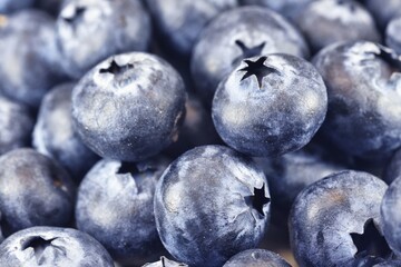 Obraz premium ブルーベリー