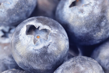 Obraz premium ブルーベリー