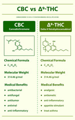 CBC vs ∆9-THC, Cannabichromene vs Delta 9 Tetrahydrocannabinol vertical infographic illustration about cannabis as herbal alternative medicine and chemical therapy, healthcare and medical vector.