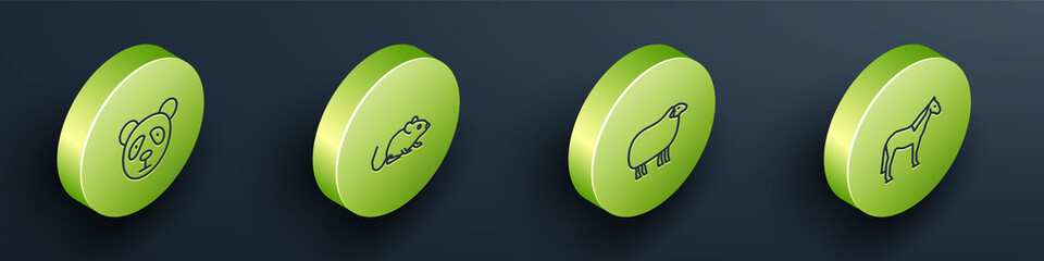 Set Isometric Cute panda face, Rat, Sheep and Horse icon. Vector. © Vadim