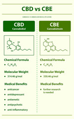 CBD vs CBE, Cannabidiol vs Cannabielsoin vertical infographic illustration about cannabis as herbal alternative medicine and chemical therapy, healthcare and medical vector.