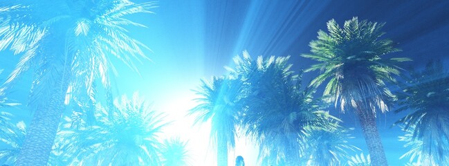 Palm trees in the sun, a grove of palm trees in the morning in the fog, sunlight in the branches of palm trees, 3D rendering