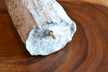 カビに覆われて熟成したナチュラルチーズ、シェーブル