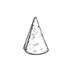 Parmesan (Parmegiano) cheese. Top view. Hand drawn sketch style drawing of traditional Italian hard cheese.  Vector illustration isolated on white.