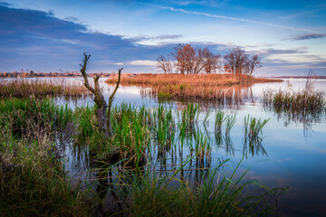 Beautiful, colorful autumn lake. lublin zalew zemborzycki , Poland © RafalDlugosz
