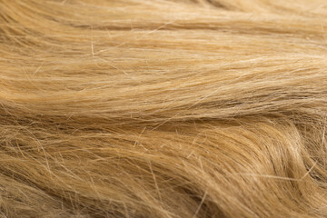 Fototapeta premium A full page of horizontal flax fibers texture. Common flax.