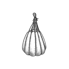 Provolone cheese. Hand drawn sketch style drawing of traditional Italian melted and smoked cheese. Vector illustration isolated on white.