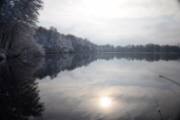 Winter wonderland