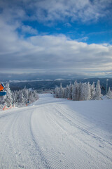 winter forest in the mountain covered by snow 