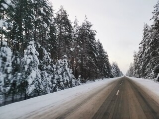 Obraz premium road in the snow