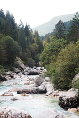 Soca river valley, Trenta, Slovenia