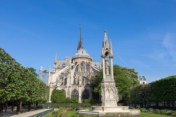 Fototapeta na wymiar 파리의 노트르담 대성당 / Notre Dame Cathedral in Paris