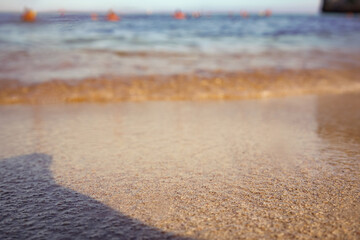 Golden beach sand washed by sea water lit by morning sun, low angle closeup detail - abstract shallow depth of field marine background, only few grains in focus