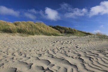 dune landscape with beach grass and footprints in the sand, copy space