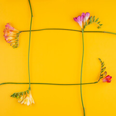 Flowers frame made of Freesia on yellow background. Flat lay, top view. Copy space..