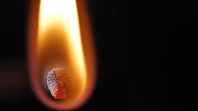 Match burning macro close - up. Fire brings a match to life.