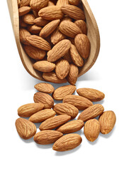 almond nut food healthy organic natural ingredient snack isolated seed brown fruit closeup, nutrition group