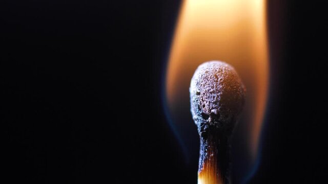 Match burning macro close - up. Fire brings a match to life.