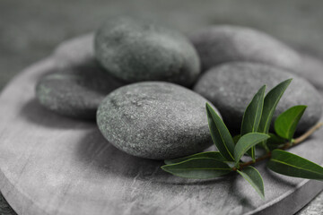 Fototapeta na wymiar Spa stones and branch of plant on grey board, closeup