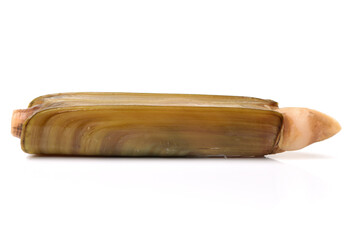 Razor clams isolated on white background.