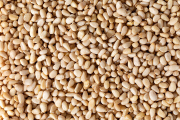 Full frame macro shot of ingredient raw pine nuts.