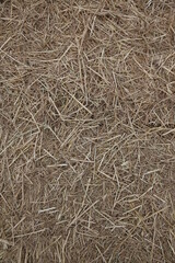 texture of straw
