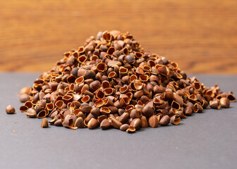 A pile in the form of a slide of shells from Siberian pine nuts. 