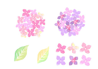 水彩で描いた紫陽花のイラスト
