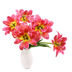 Bouquet of coral tulip flowers in a white vase
