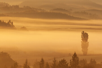 北海道　上富良野町　朝の景色