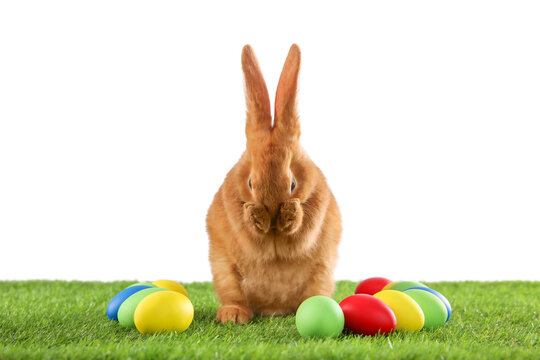 Cute bunny and Easter eggs on green grass against white background