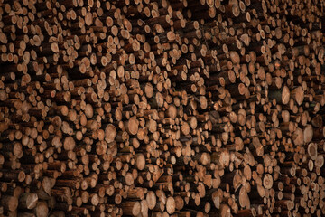Background of cut wood logs stacked in a pile. wood for the production of chipboard