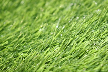 Fototapeta na wymiar Fresh Grass
