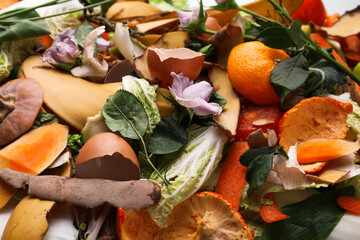 Pile of organic waste for composting as background, closeup