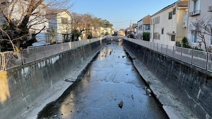 街の中を流れる川
