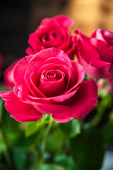 Beautiful flower bouquet of pink rose.