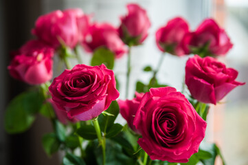 Beautiful flower bouquet of pink rose. Big bouquet of roses in vase on table near the window.