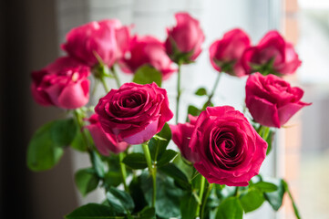 Beautiful flower bouquet of pink rose. Big bouquet of roses in vase on table near the window.