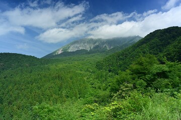 Fototapeta premium 夏の大山