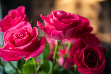 Beautiful flower bouquet of pink rose.