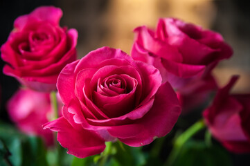 Beautiful flower bouquet of pink rose.